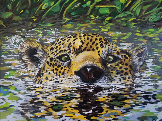 Original Jaguar Swimming