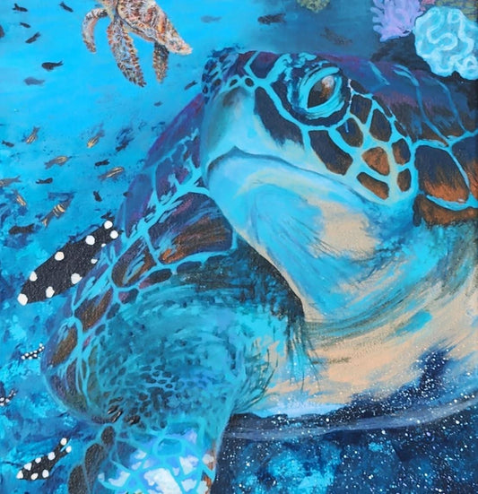 Turtle Universe - original